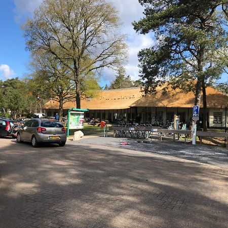Chalet Albatros Diever Kültér fotó