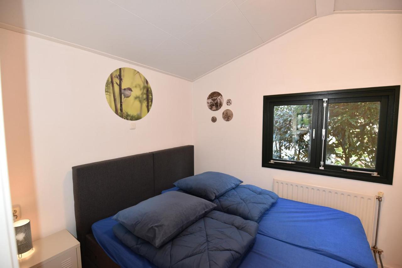 Chalet Albatros Diever Kültér fotó