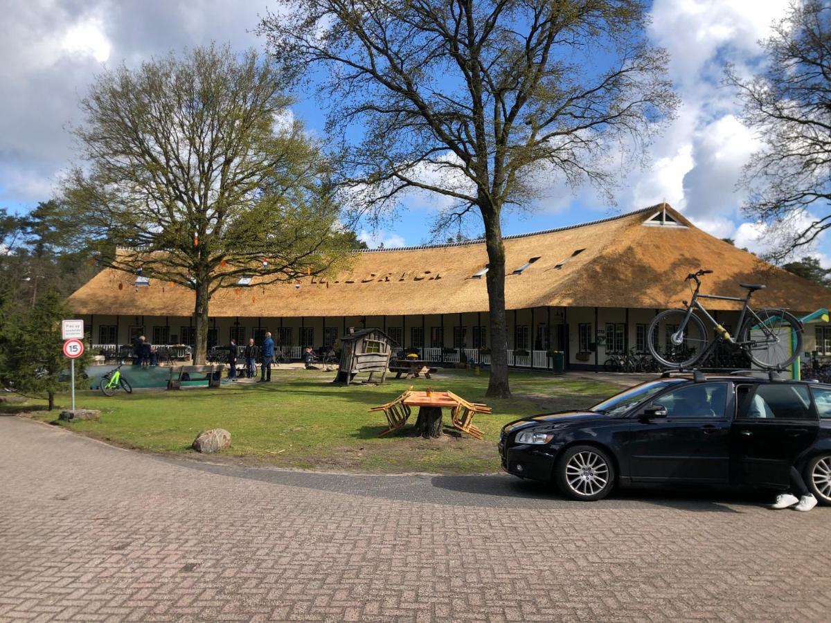 Chalet Albatros Diever Kültér fotó